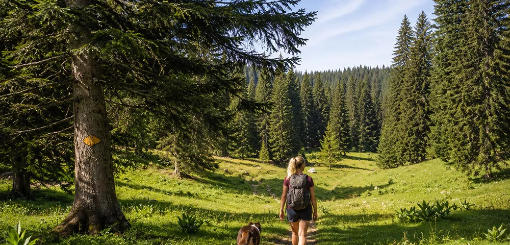 Gîte Jura acceptant les chiens : les plus belles balades et baignades avec votre compagnon